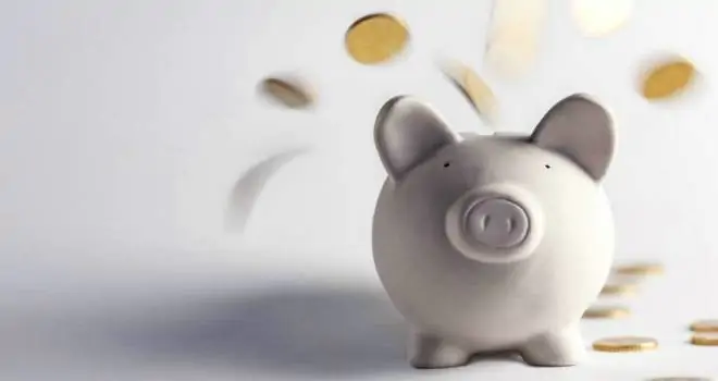 Lifetime Individual Savings Accounts 2 1431-coinpig