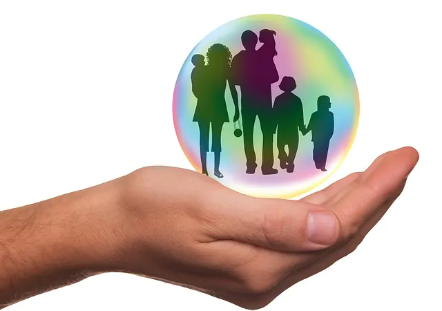 Protecting, preserving or ultimately distributing your wealth 1 insurance 1991216 640