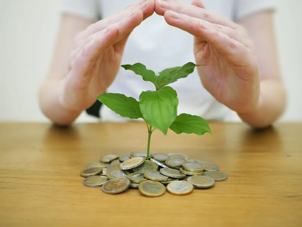 Could you have a ‘lost’ pension? 8 Two hands hovering over a pile of coins that have a small plant growing out of them