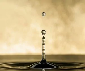 Protection 4 Liquidity